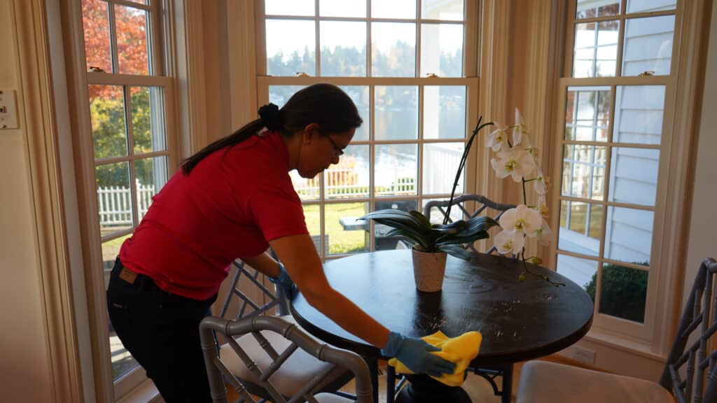 luxury cleaning service