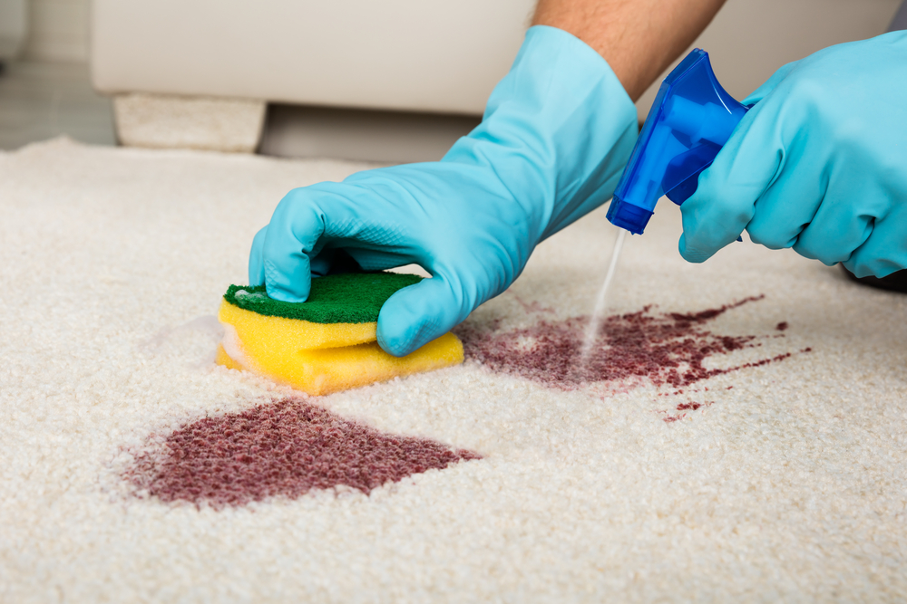 What should I leave to professional cleaners