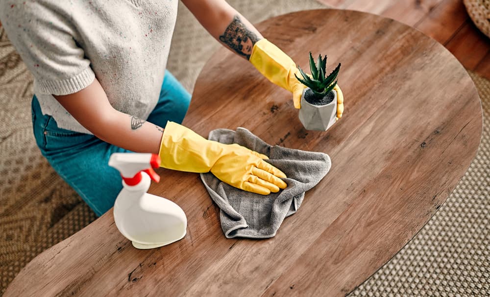 How do I keep my house clean